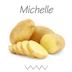 Pootgoed Michelle plantaardappelen kopen